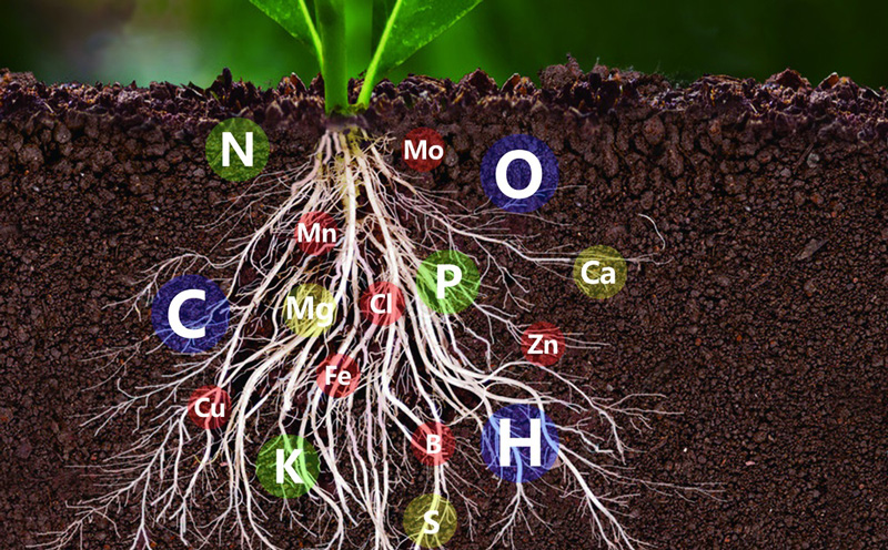 土壤中氮磷鉀含量的測定，土壤氮磷鉀檢測儀快速準(zhǔn)確