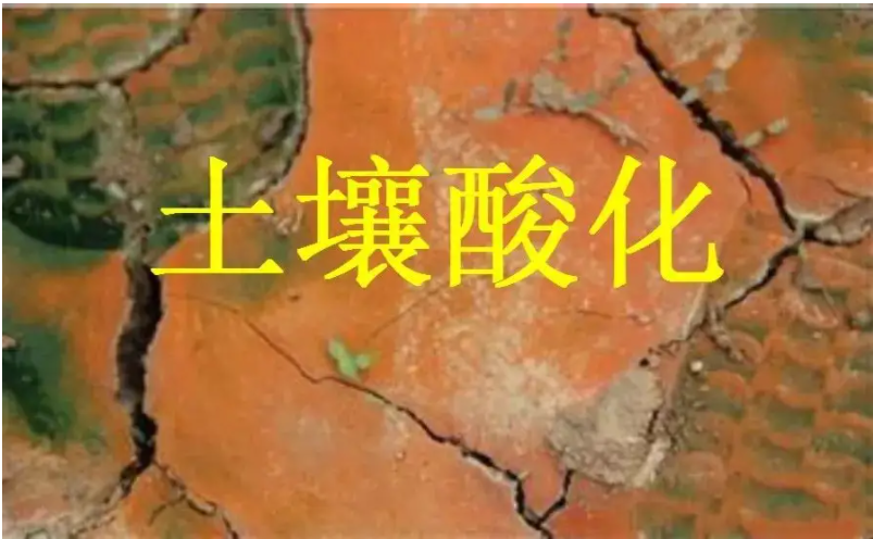 識(shí)別土壤“病”，土壤測(cè)試儀器是如何提高土壤免疫力的？