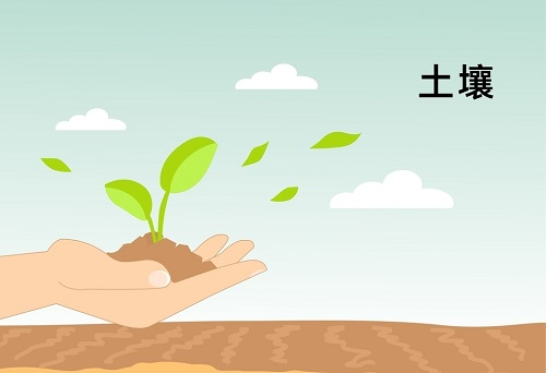 土壤墑情監(jiān)測系統(tǒng)在精細農(nóng)業(yè)發(fā)展中扮演著什么角色？