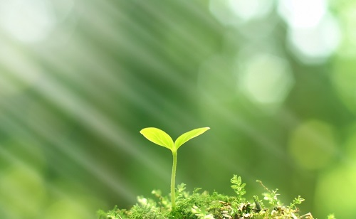 推廣測土配方施肥技術(shù)的有哪些好處？