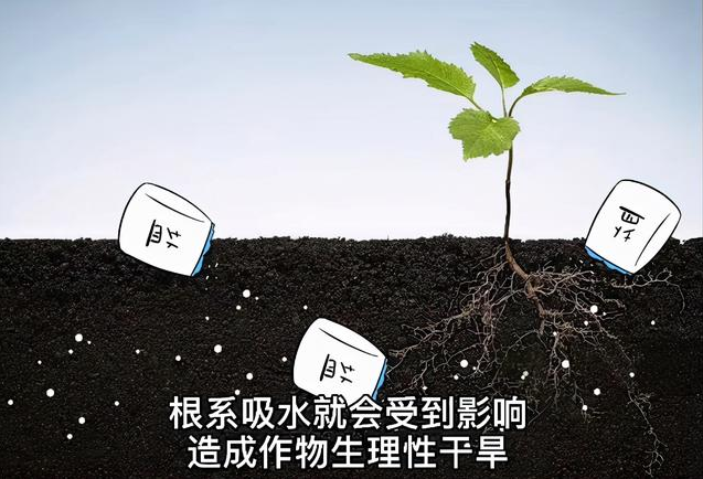 土壤EC值和pH值與作物生長的關(guān)系，利用土壤鹽分儀緩解土壤鹽漬化