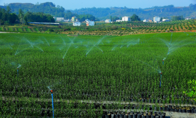 利用土壤水分測(cè)定儀實(shí)現(xiàn)精準(zhǔn)灌溉，按需灌溉